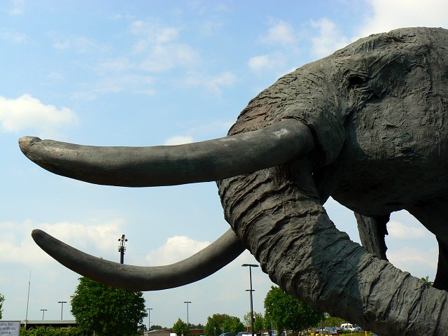 Elephant detail, Swindon Designer Outlet, Swindon
