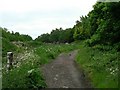 Path from Oakford Bridge, Horsforth (2)