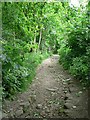 Footpath from Oakford Bridge, Horsforth