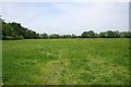 Meadow opposite Home Farm