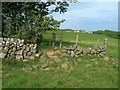 Towards South Craig Farm