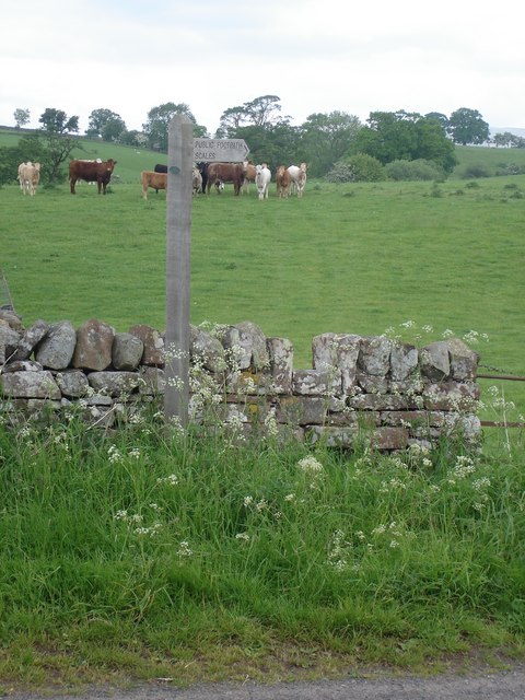Footpath to Scales from High Bankhill