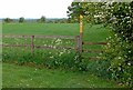 The Ivanhoe Way north of Ashby de la Zouch