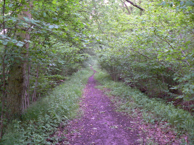 Footpath to Chineham Business Park © Mr Ignavy cc-by-sa/2.0 :: Geograph ...