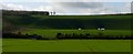 Wedding Yurts below Winchester Hill