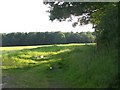 Footpath across fields, near Ridge