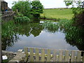 Village pond, Belthorn