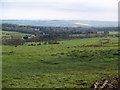 NZ0960 : Farmland between Durham Riding and Hyons Wood by Clive Nicholson