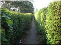 Alley which runs alongside Sudbury Cemetery