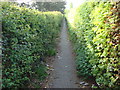 Alley which runs alongside Sudbury Cemetery