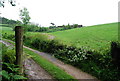 Field & track near Stokenham