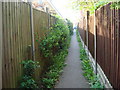 Alley looking towards Windermere Rd