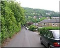 Old Godley Lane - Stump Cross