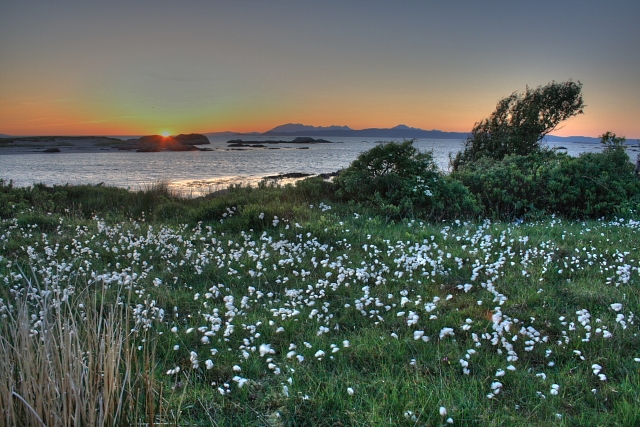 Cottongrass and the Sound of Sleat