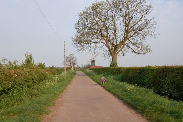 Mill Lane towards Windmill