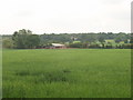 Barn and wheat field by Littleworth Common