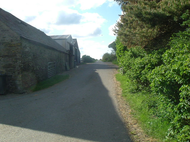 Road by farm at Tongside