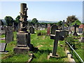 Y fynwent Aberteifi/Cardigan cemetery