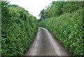 Narrow sunken lane near Loo Cross