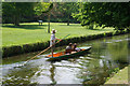 Punting at Canterbury