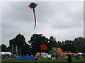 Bedford Kite Festival 2008