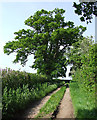 Farm track north of Shipley, Shropshire