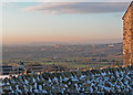 Hartshead Green