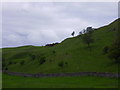 Ancient Lands near Stobs Castle