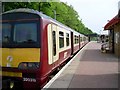 Train in Balloch Station