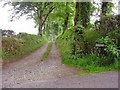 Track to Rhyd-y-fr?n, Llanfihangel Ystrad