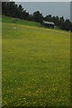 Field and shed at Bwlchciliau