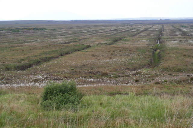 Former peat extraction - industrial scale - Muingnahalloona Townland
