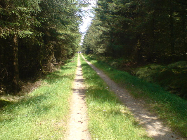 Newcastleton Forest - Cycle Trail