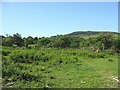 View across a hillside area of rough grazing and woodland