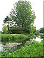 View across the River Bure