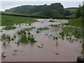 Flooded field, Torbryan