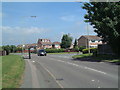 A view of  Woodlands Road stretching into the distance