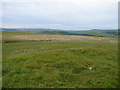 North-east From Rhymney Hill