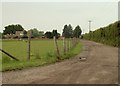 The road to Bower Hall Farm