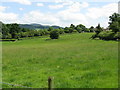 Stony Cross grassland