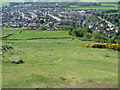 Hillside overlooking Tillicoultry