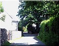 Bend in the road at the entrance to Tremarfon