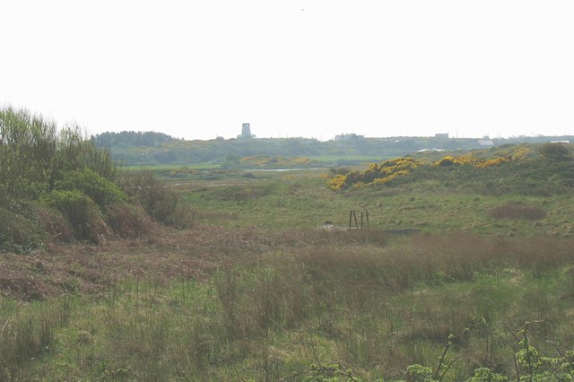 View southwards across the saltings