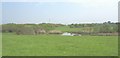 Pool in a stream flowing into the Inland Sea