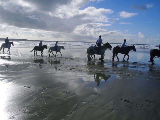 Horses at Druidstone