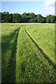 Track in Ickworth Park