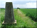 TL7848 : Trig point by Keith Evans