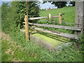 Water Trough beside the bridleway