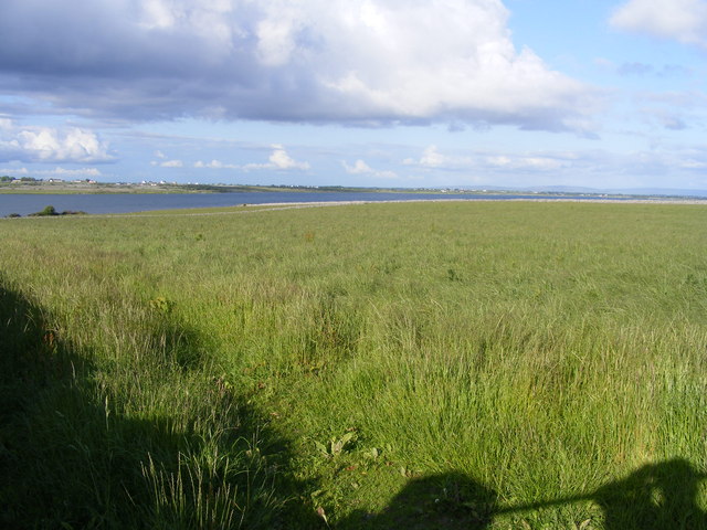 Hay field near Cartron - Munnia Townland
