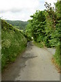 Minor Road near Llanfynydd